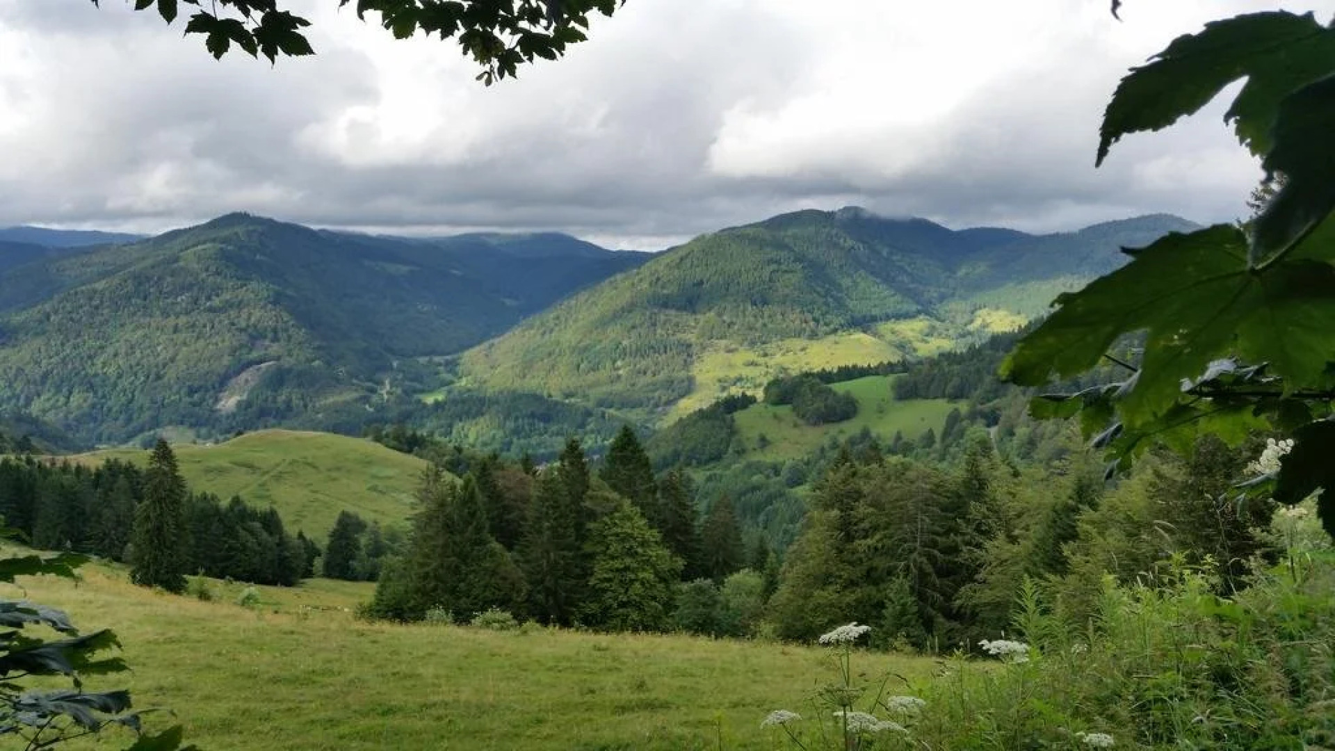 Landgasthaus Sternen
