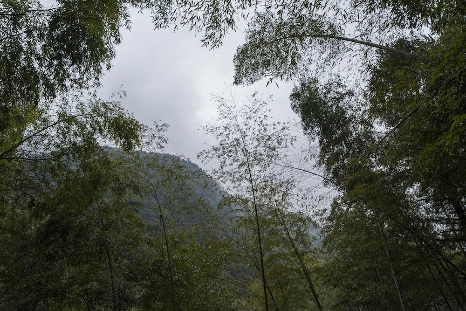 Jiuxi Cloud Valley Hotel