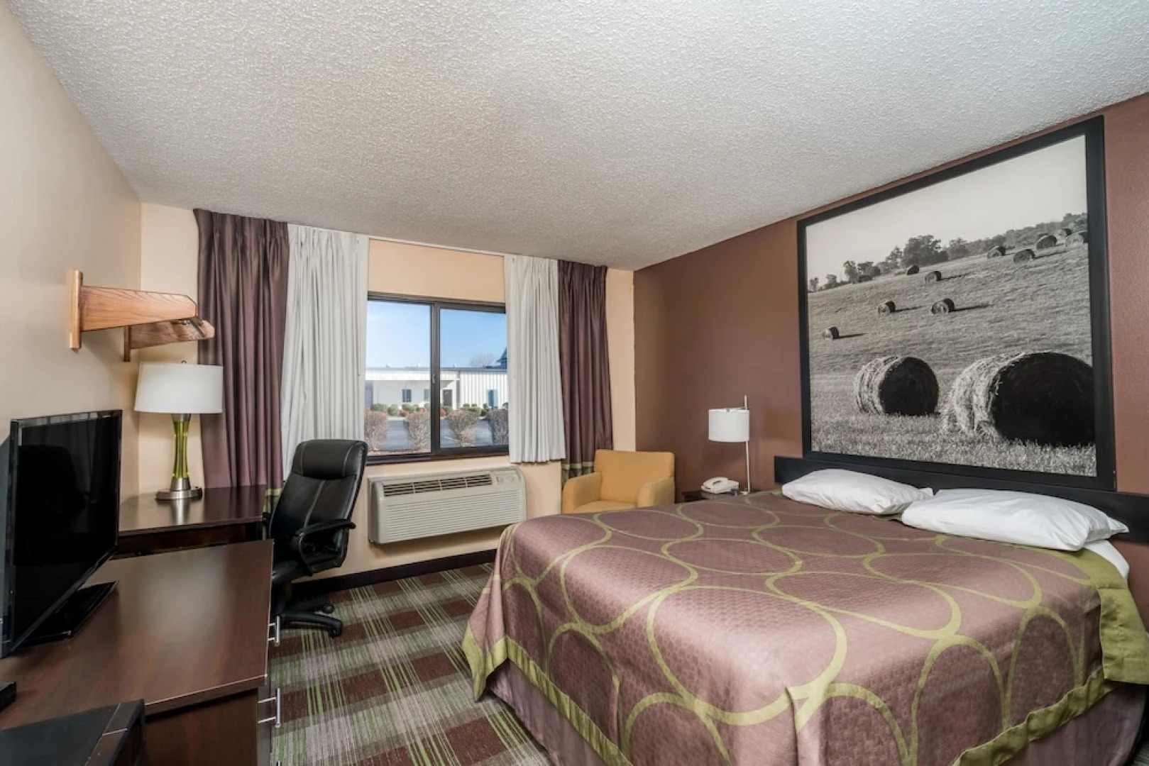 Super 8 Campbellsville KY