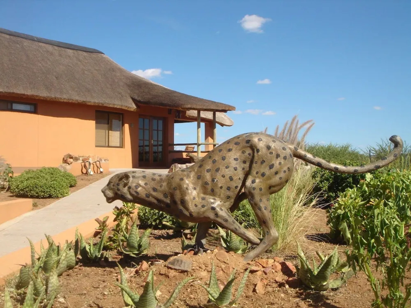 Babson House @ Cheetah Conservation Fund