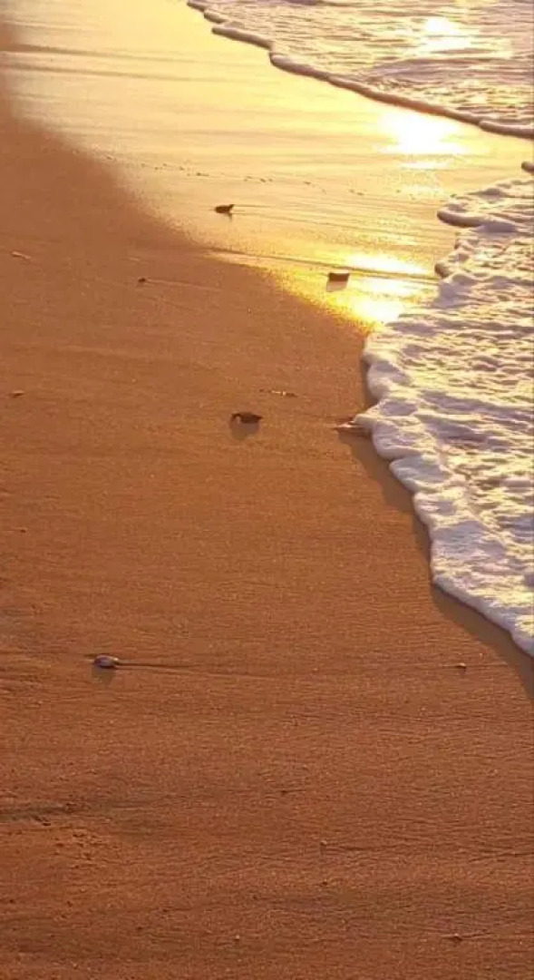 MARIA Cozy apartment 30m from the sea