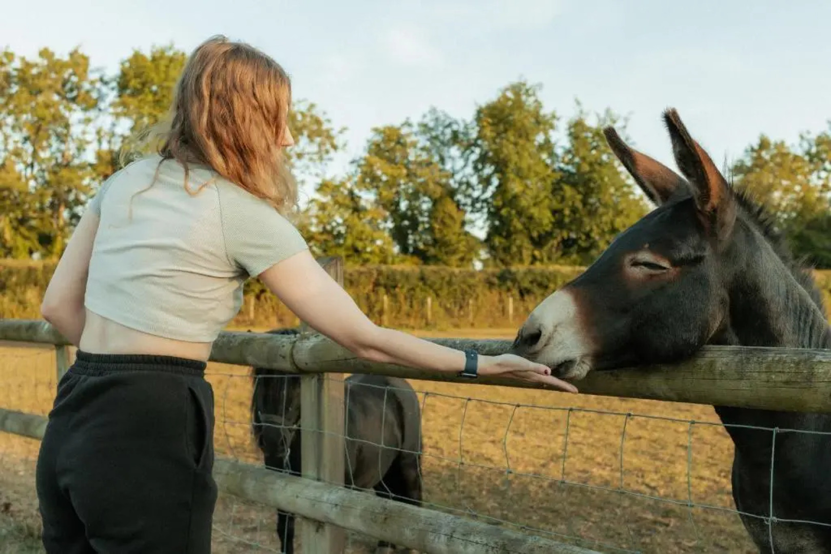 Glamping in Wiltshire in our Luxury Shepherds Hut