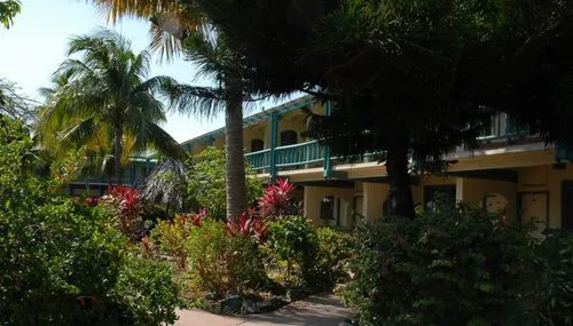 Island Beach Comber