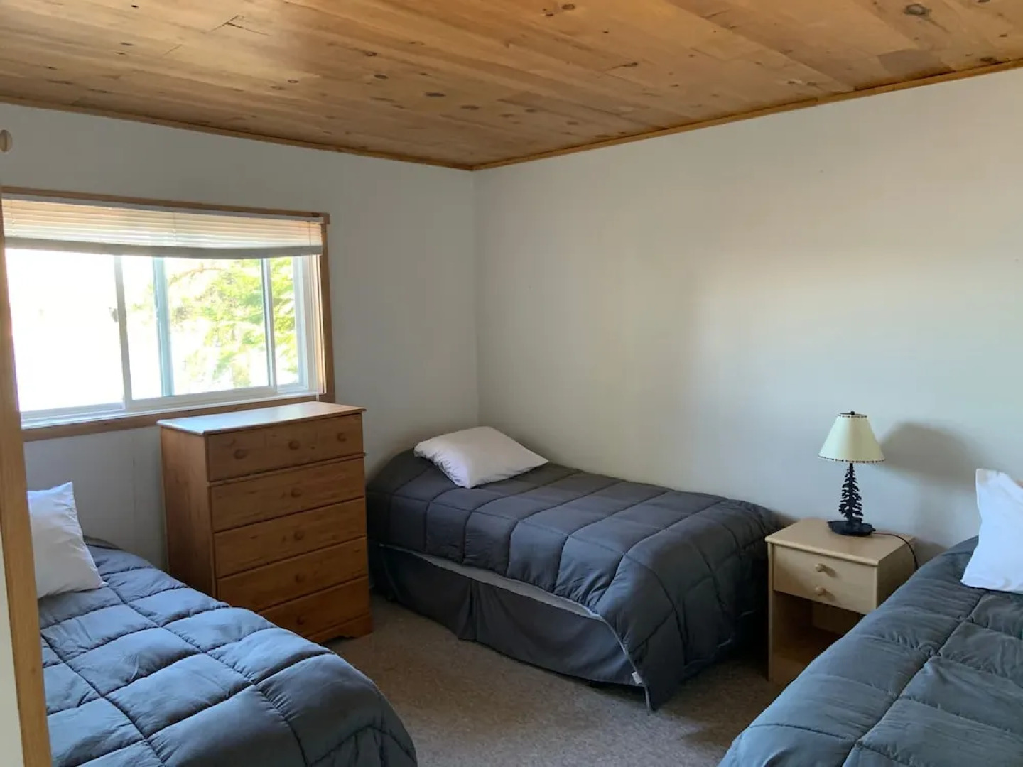 Air-Dale Fishing and Hunting