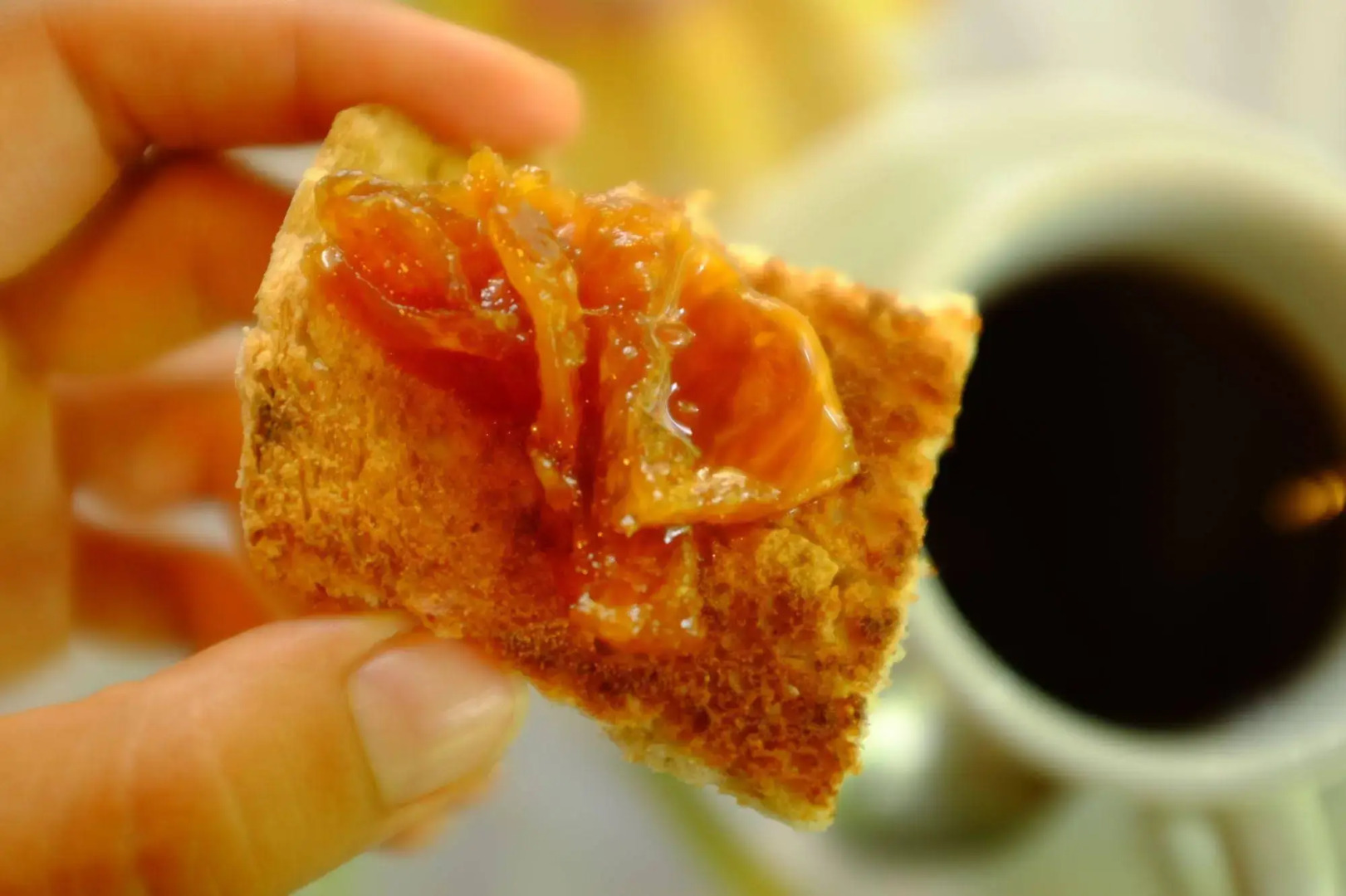 La Palapa Eco Lodge Resort