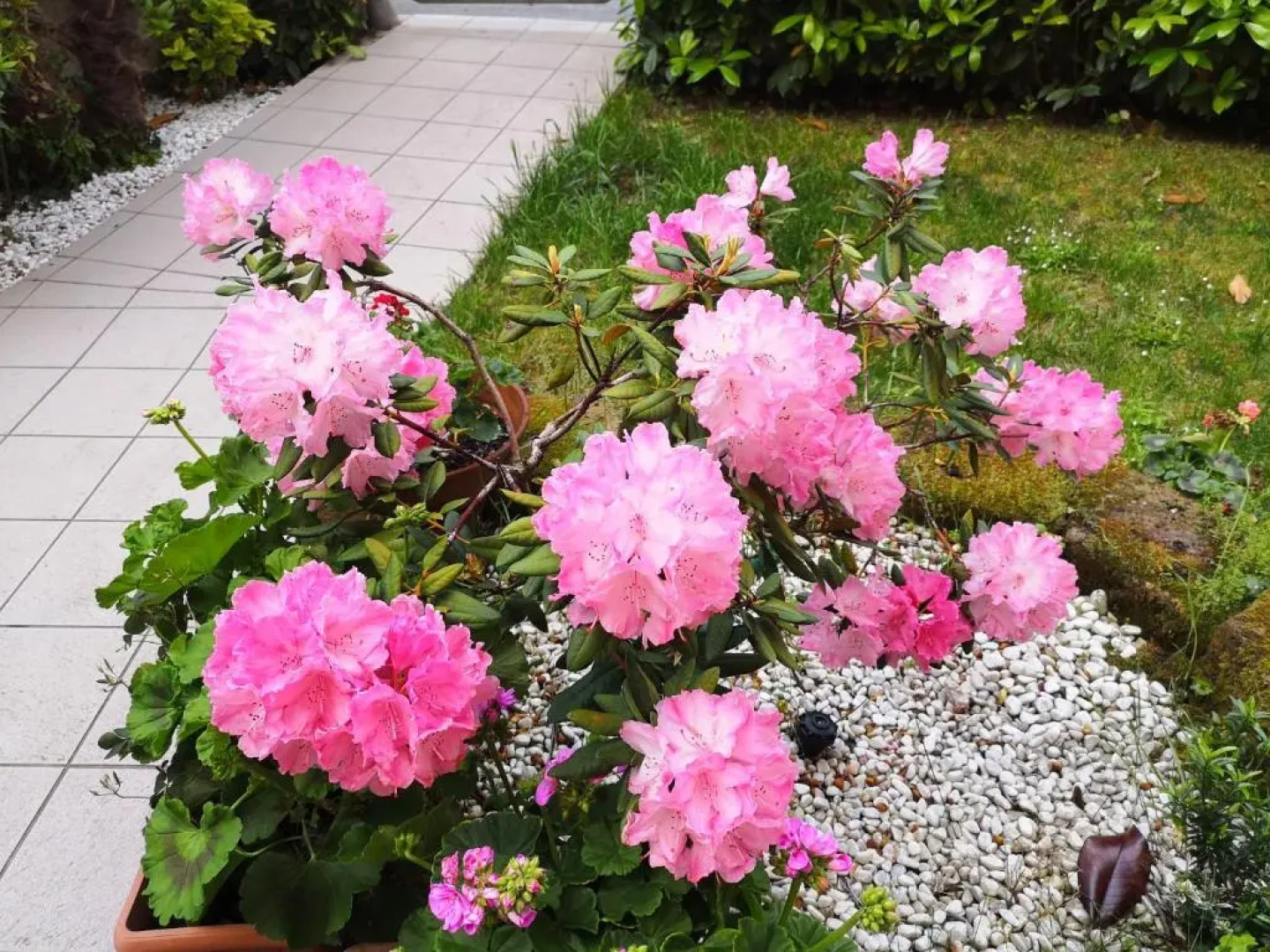 A Due Passi Dal Mare B&B