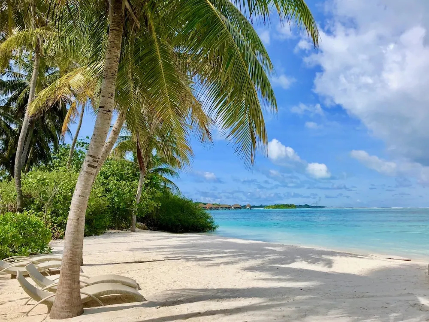 Maldives Seashine Guesthouse