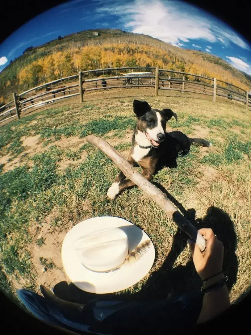 Elk River Guest Ranch