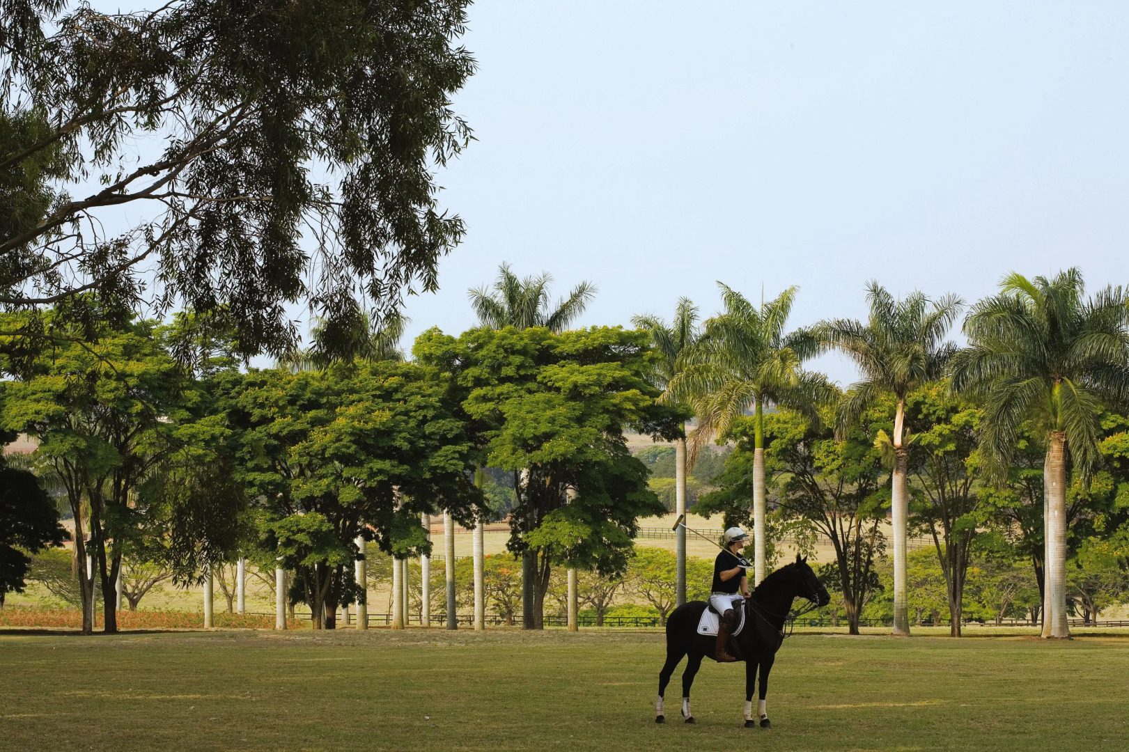 Hotel Fasano Boa Vista