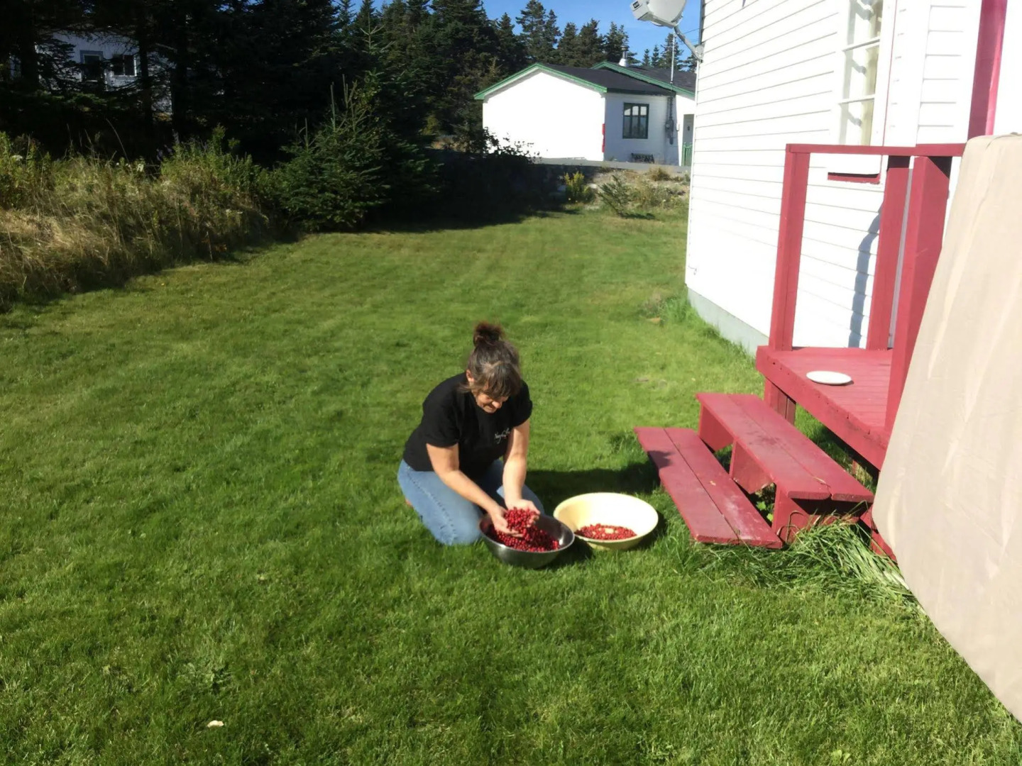 The Meems' Elliston B&B