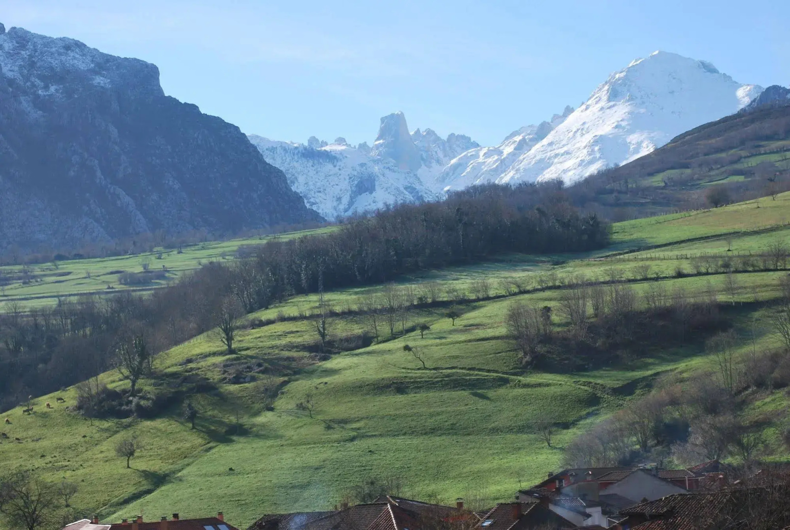 Hotel Principado de Europa