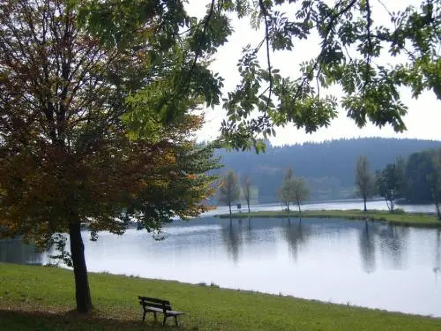 CAFE´- PENSION WüRFL-RAMMER