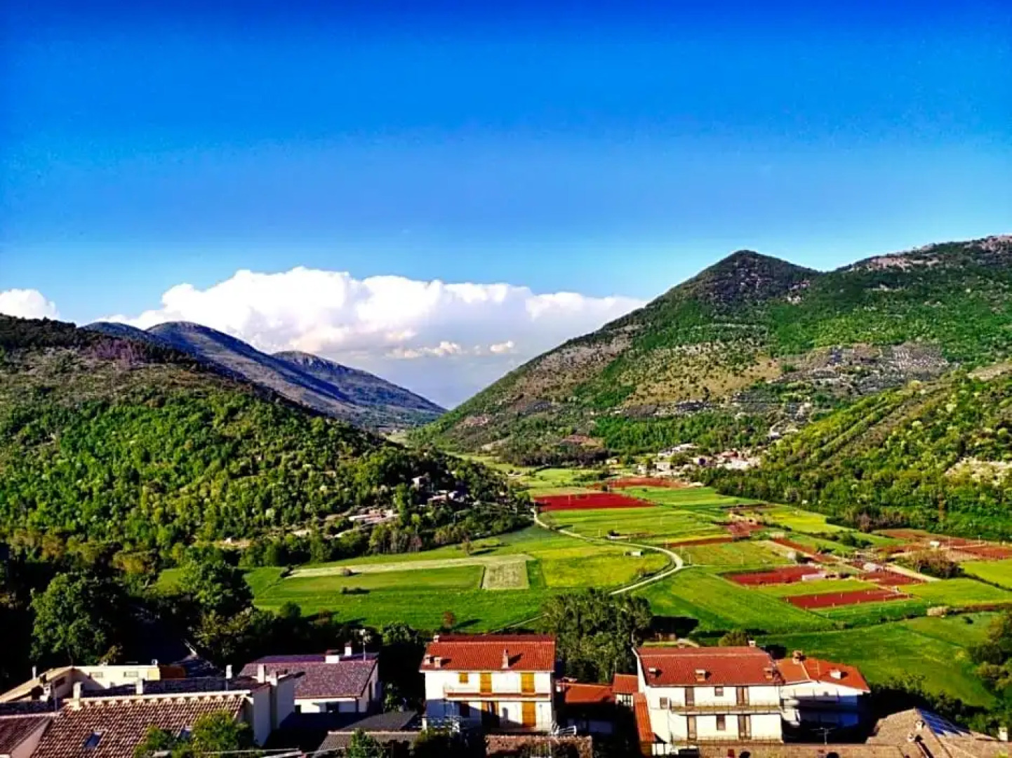 B&B La Collina del Sole