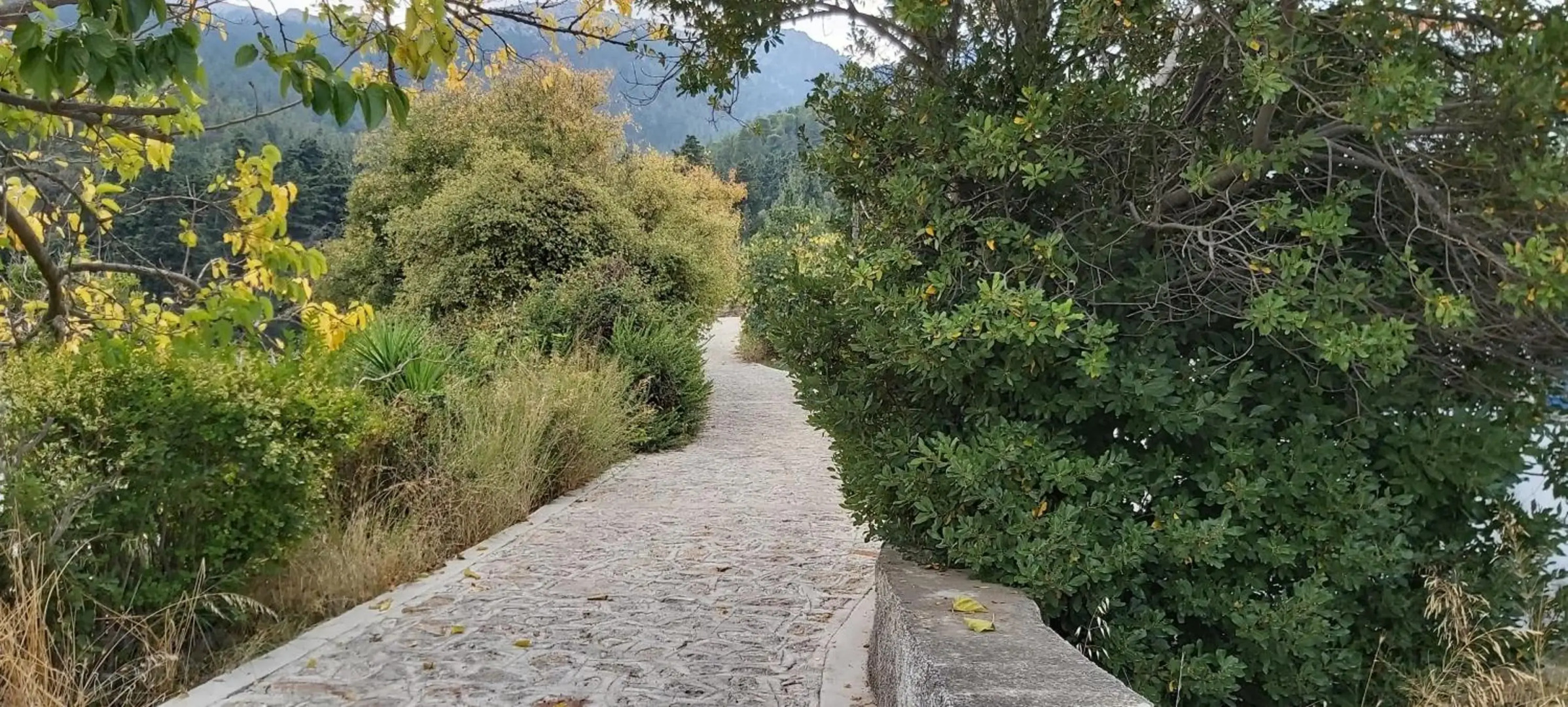 Traditional house in Asfendiou