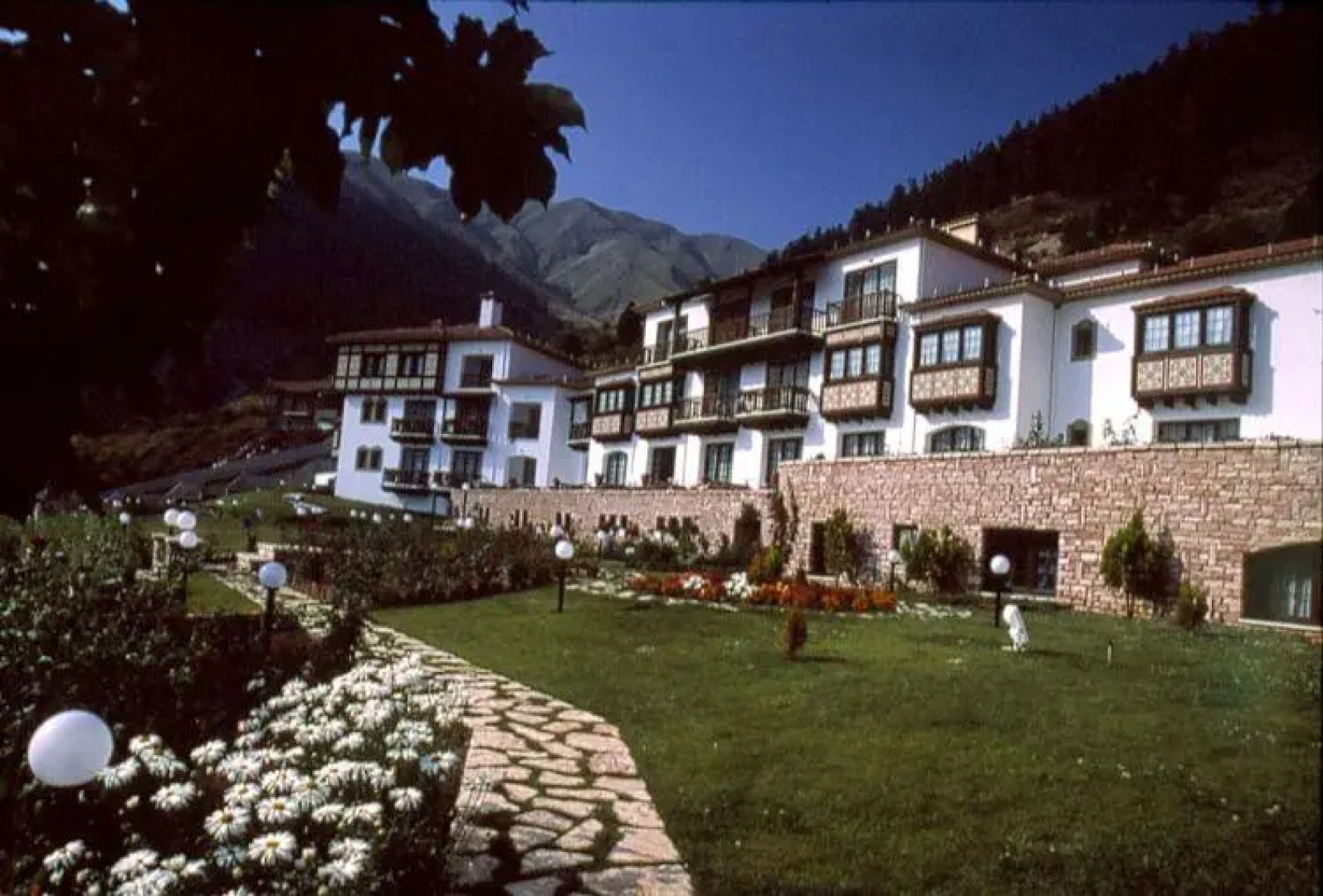 Hotel Spa Montana