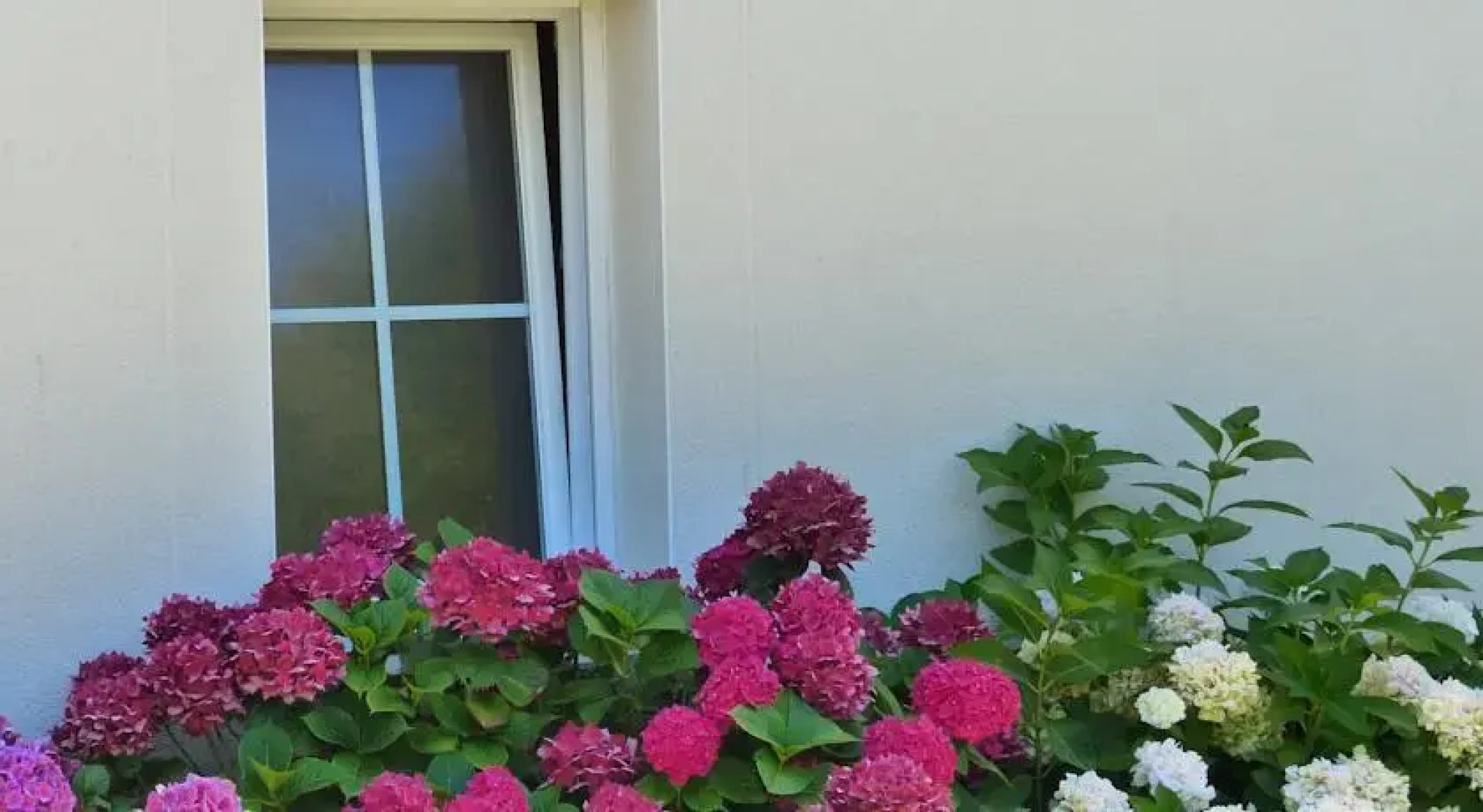 Chambres dHôtes aux Poulains