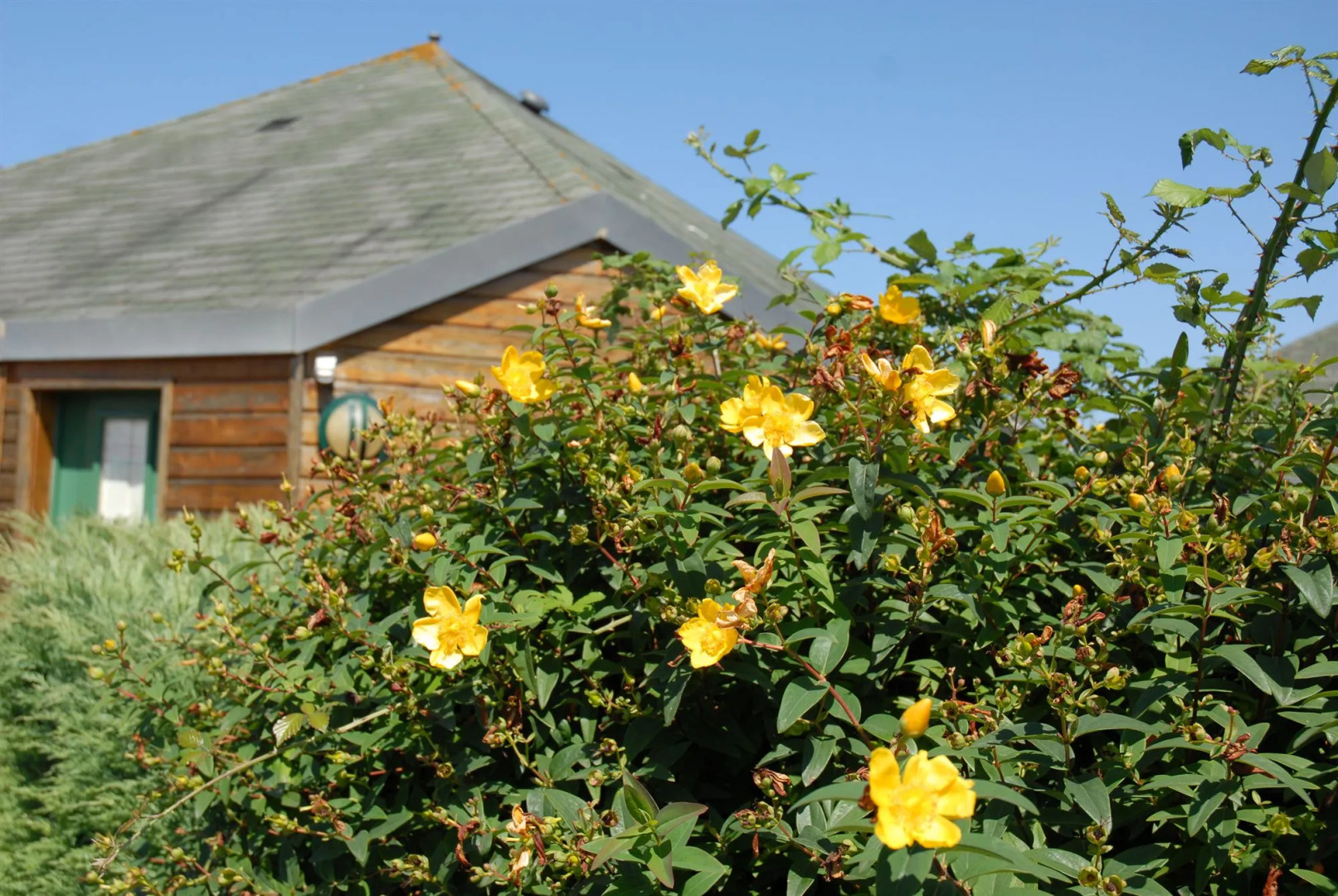Logis Hôtel Au Chêne Vert