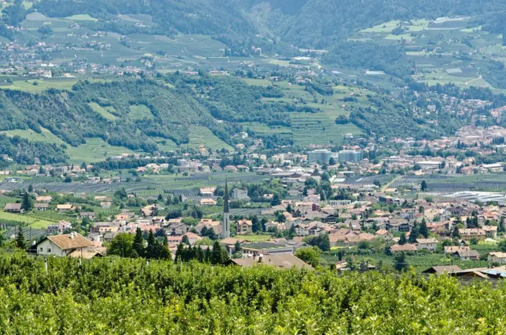 Plarserhof