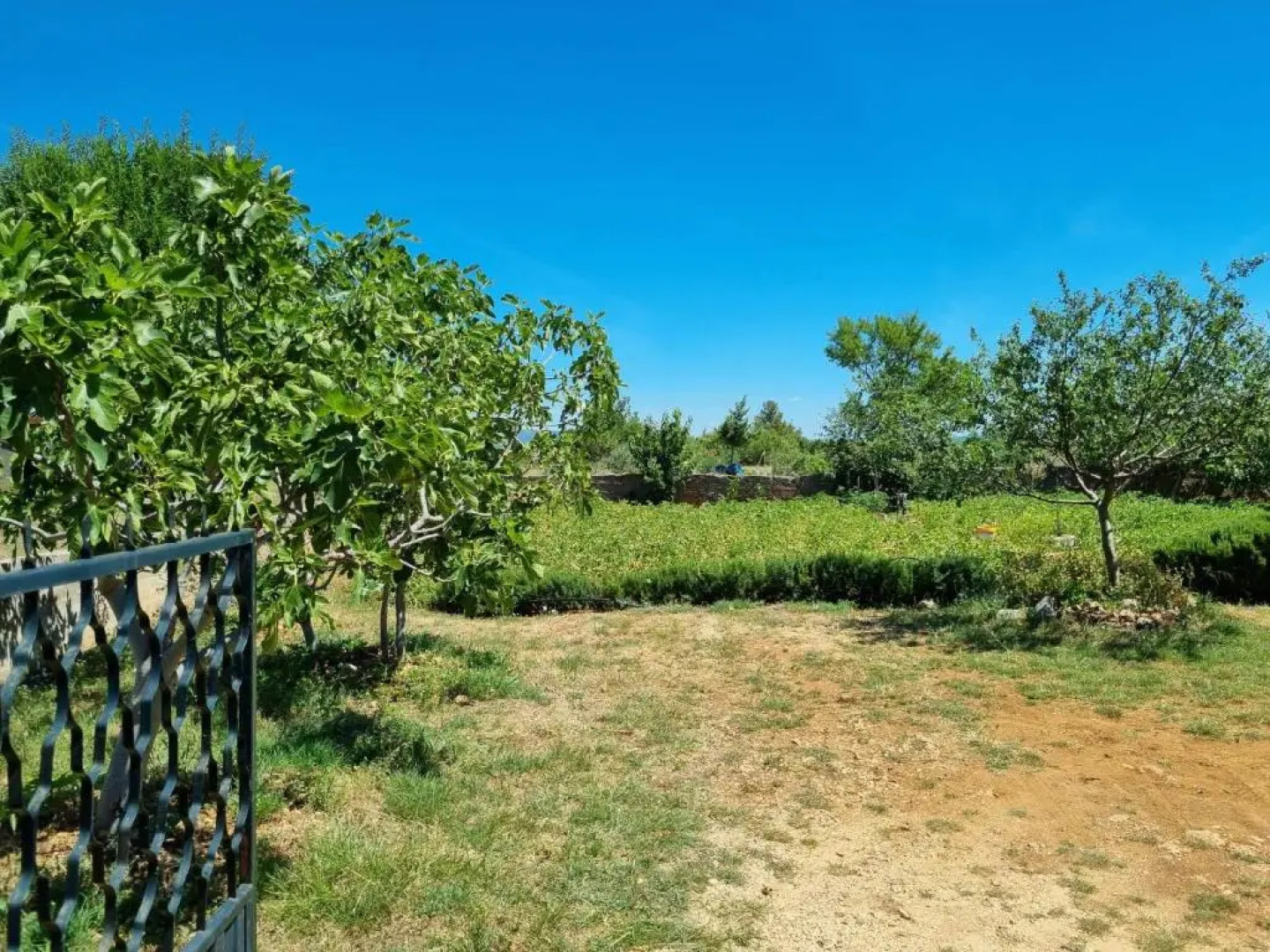 Holiday house Cikola