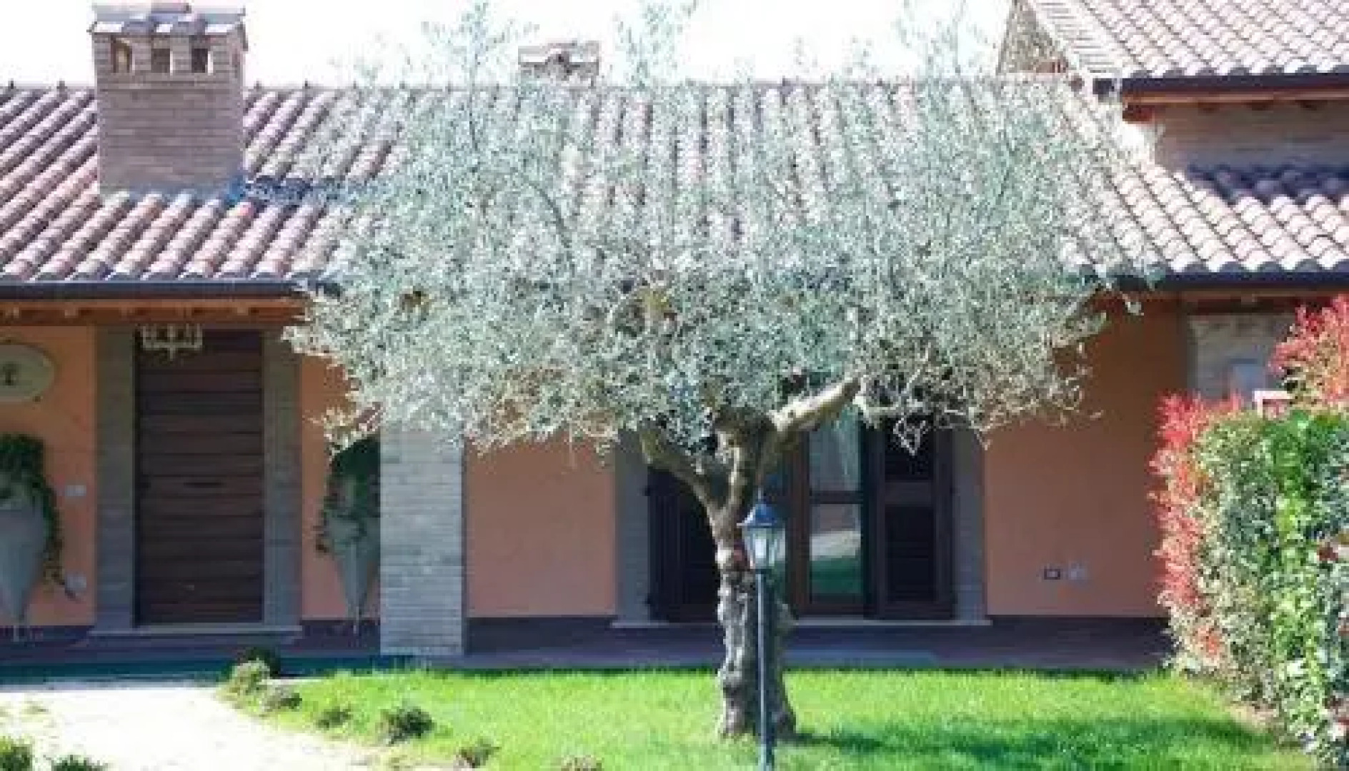 La Terra Di Francesco