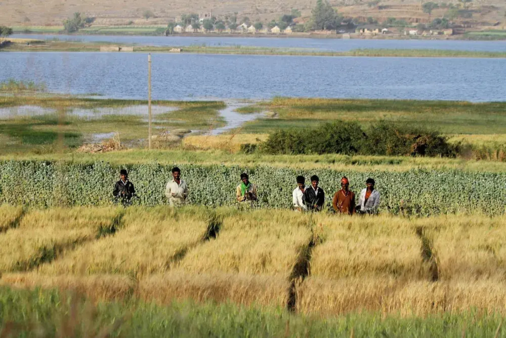 Hotel Castle Bijaipur