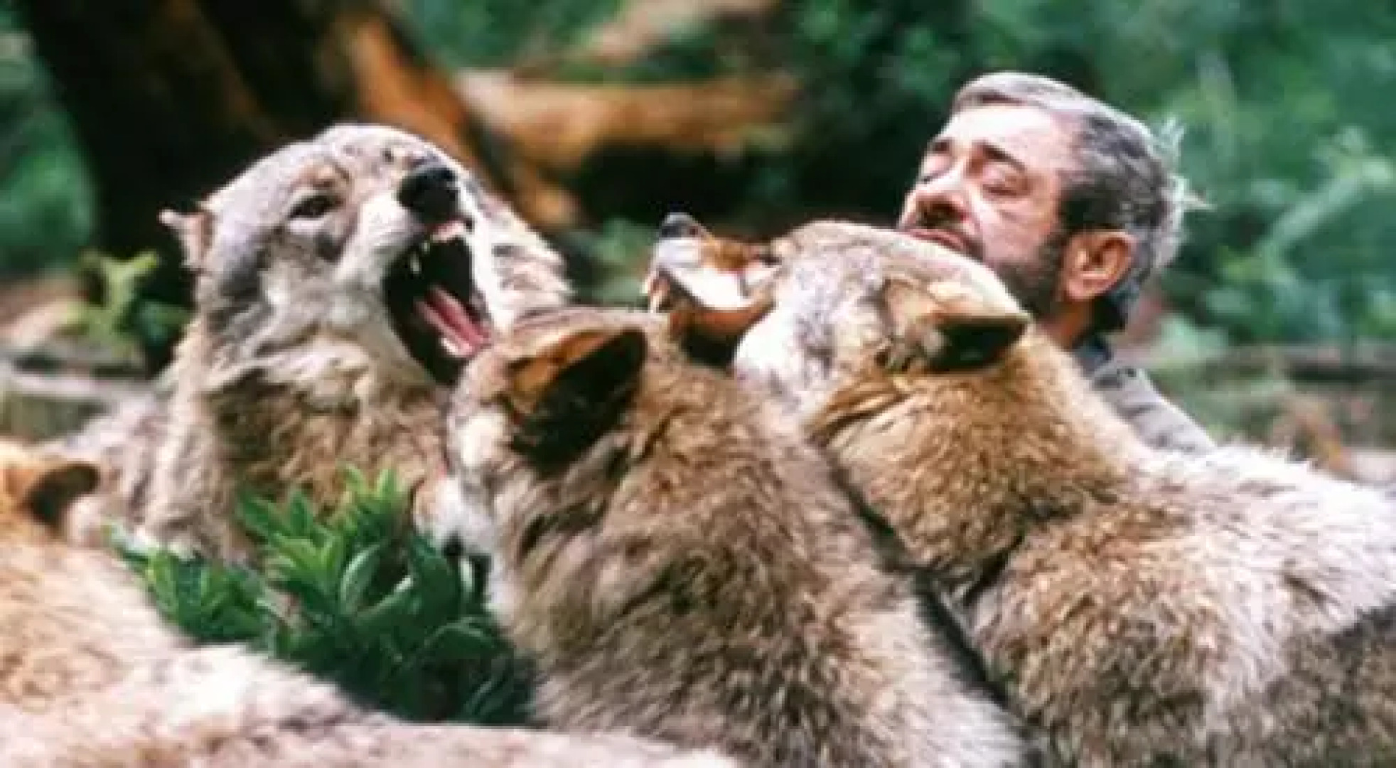 Sebastiana's Ferienwohnung