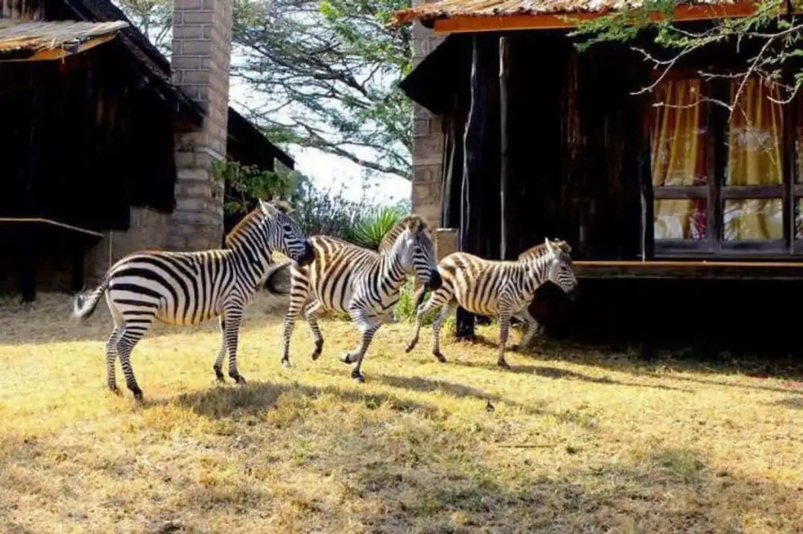 Maralal Safari Lodge