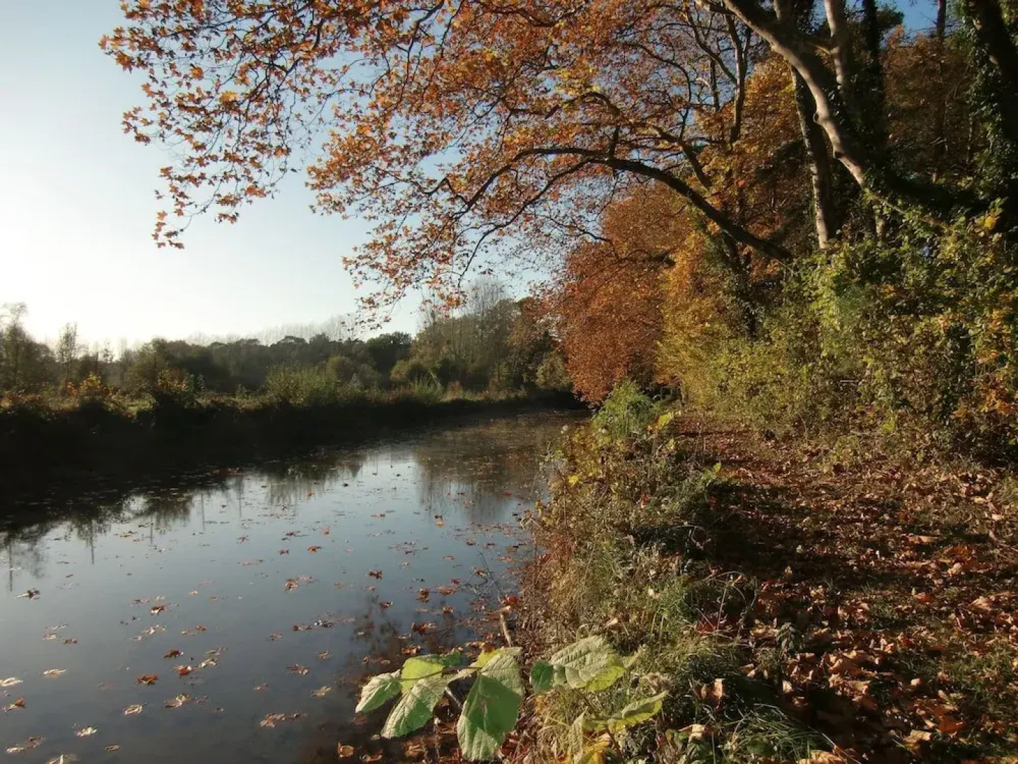 Chambres d'Hôtes - Château de Gizeux