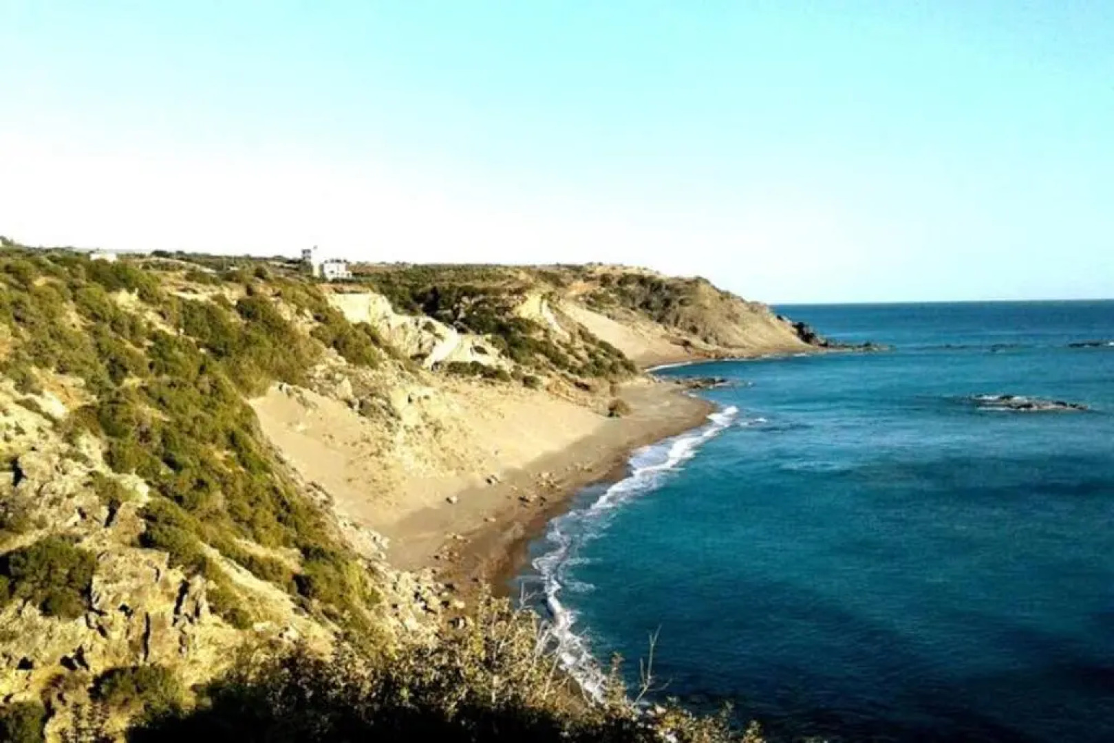 Antonis's Palm House