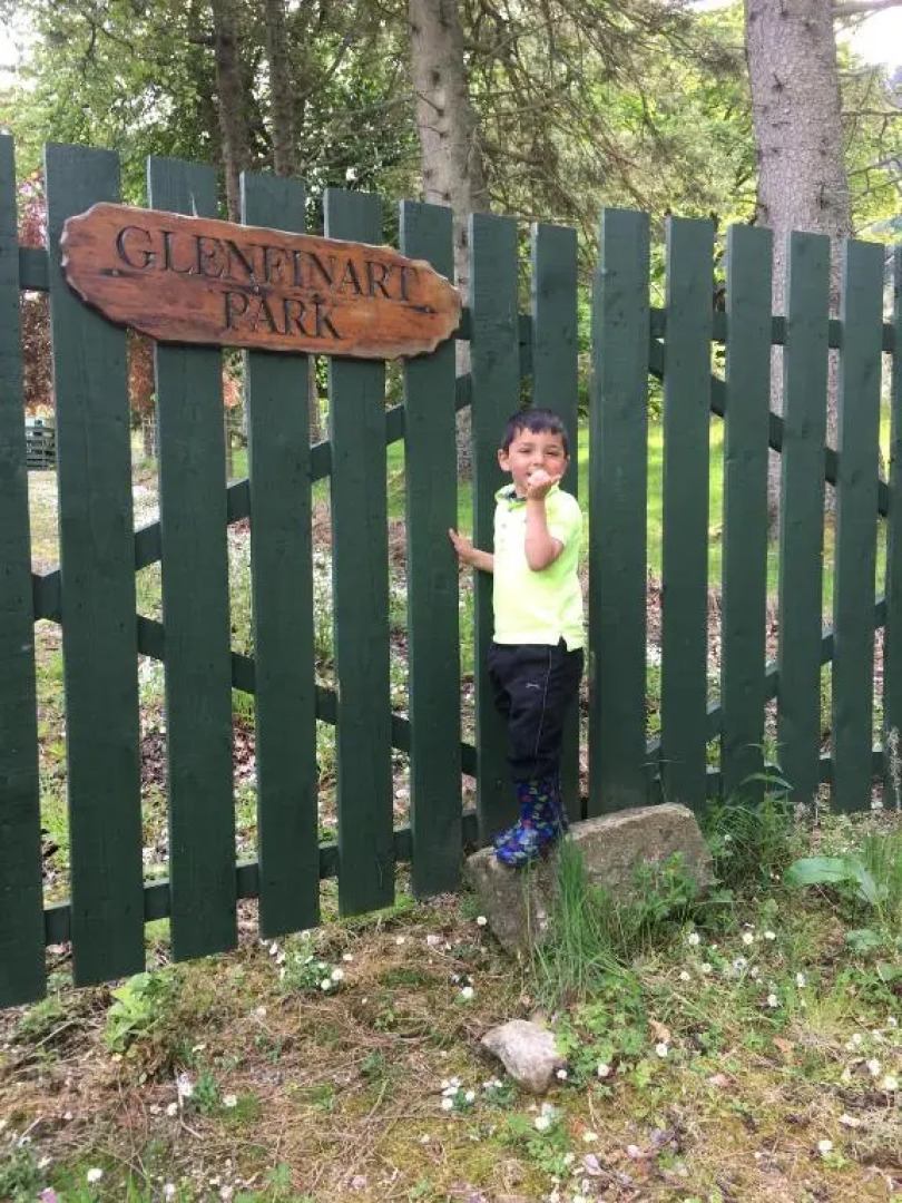 8 glenfinart park