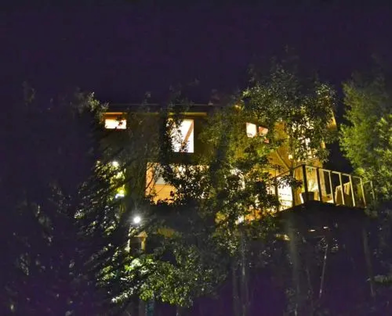 La Casa Del Árbol De Chiloé