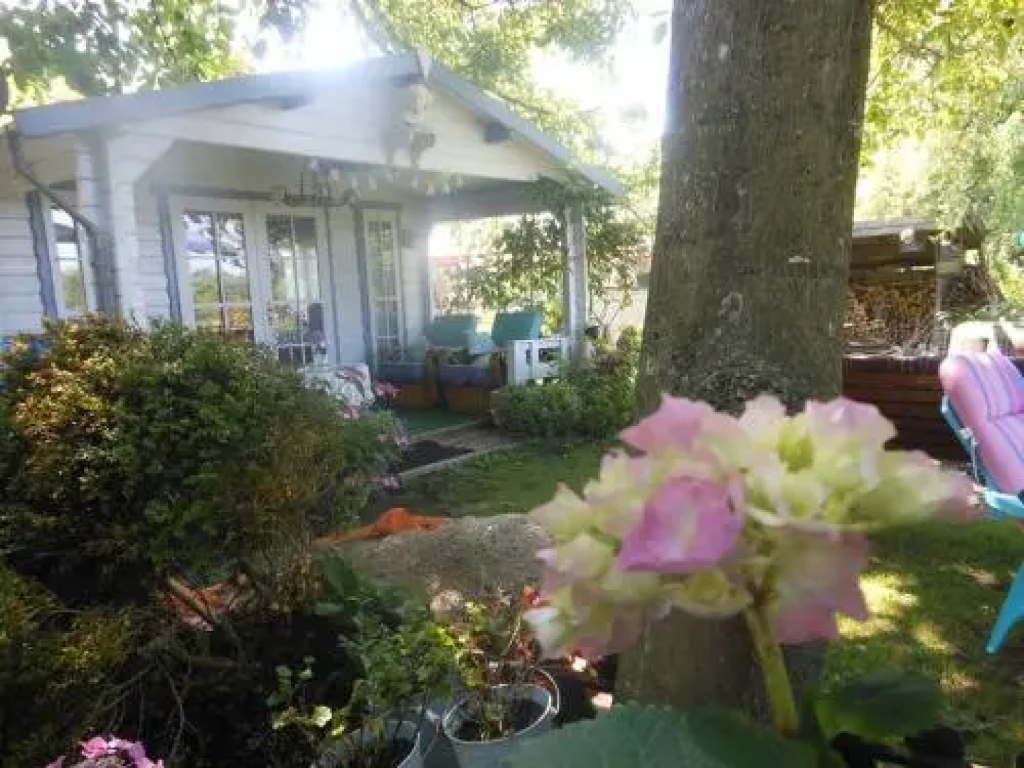 Theetuin Gebroeders van Lint