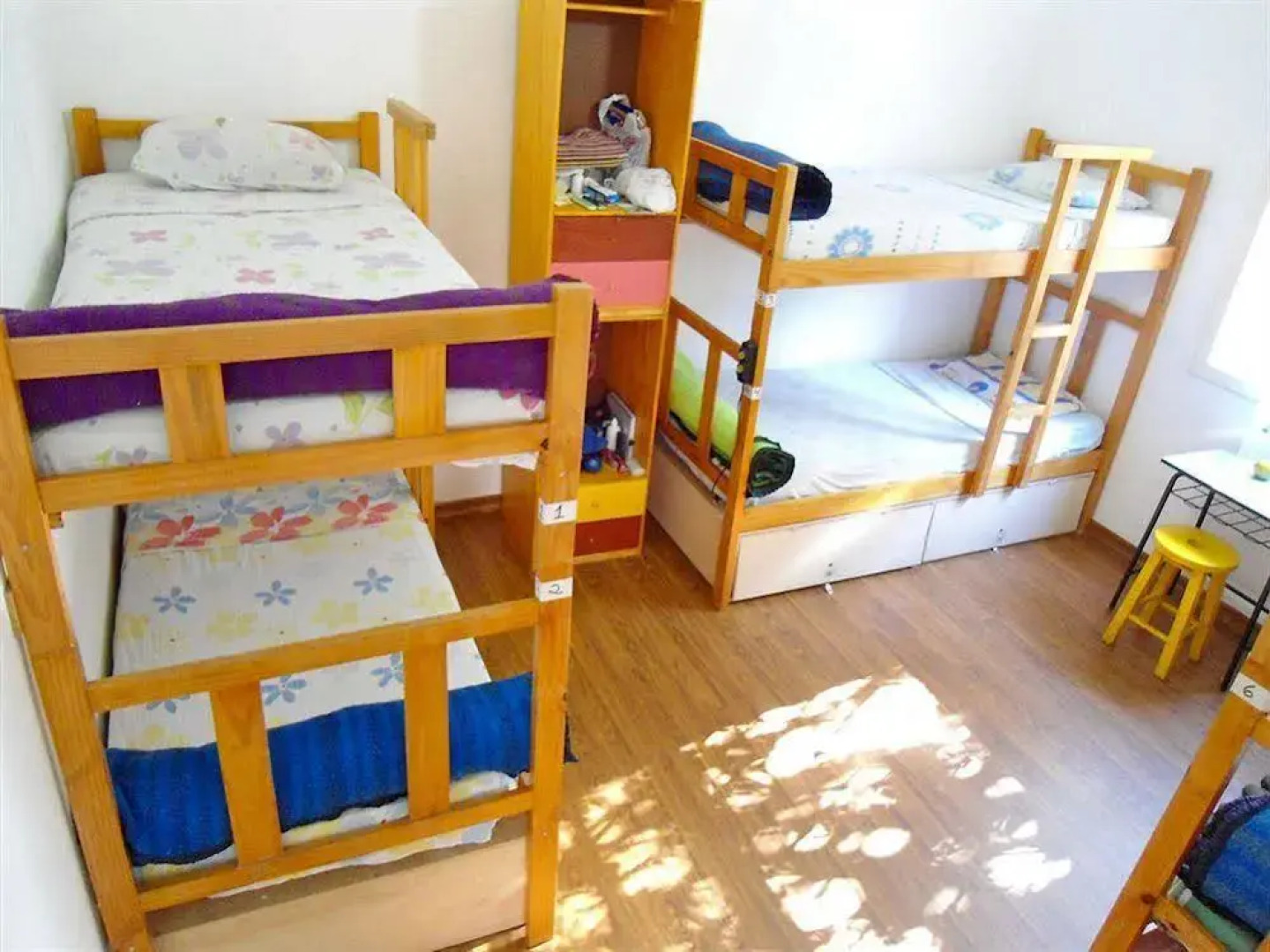 3Dogs Hostel São Paulo