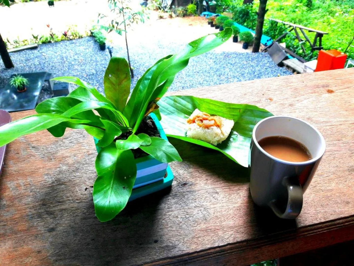 Kiriwong Baansuanrommai