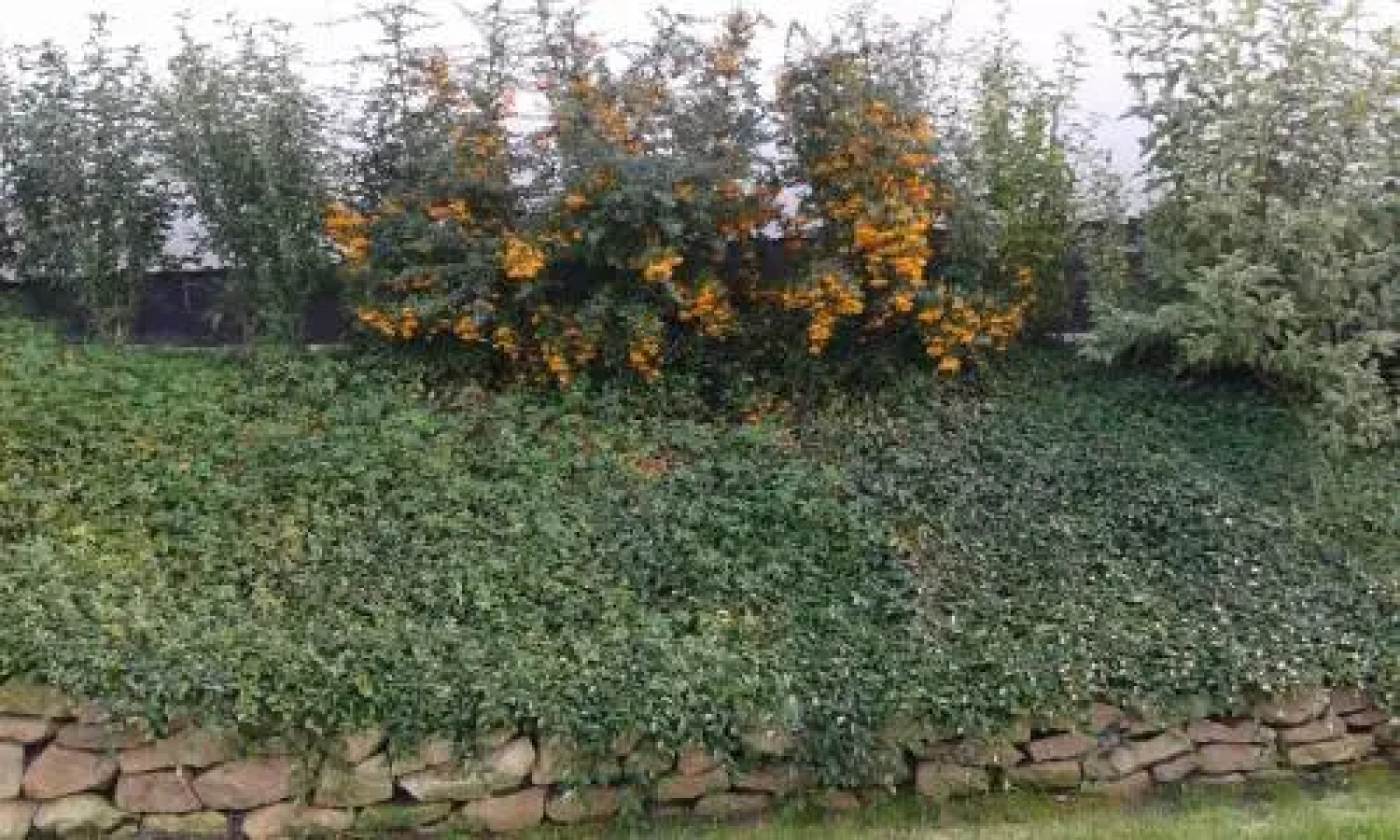 Tip-Top Lak Vendégház