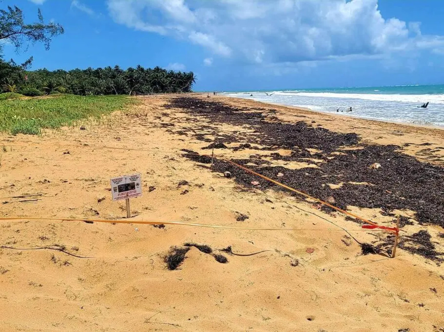 Ocean Beach front in Luquillo PR. Near el Yunque 308