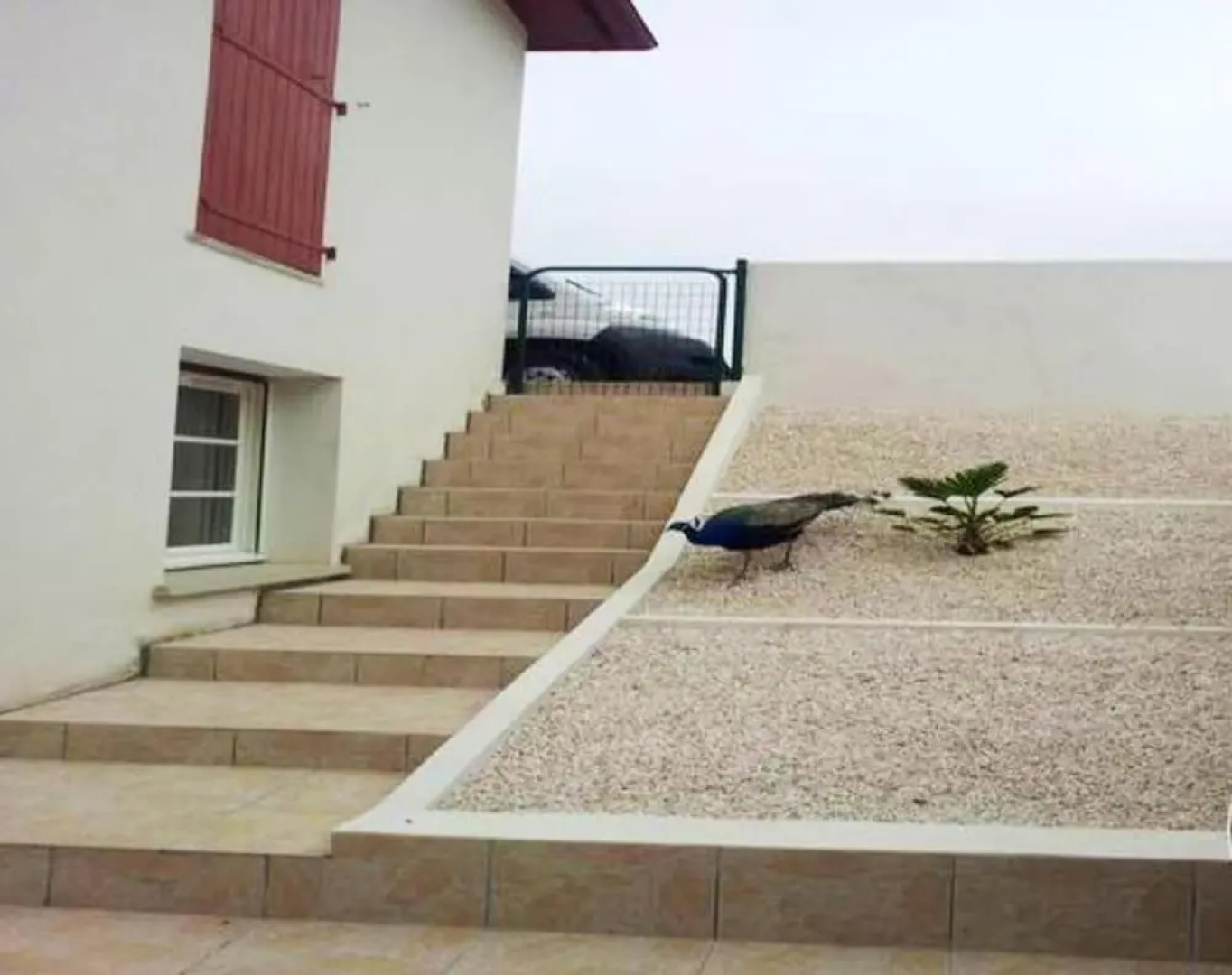 Apartment With 2 Bedrooms in Bidache, With Furnished Terrace and Wifi - 45 km From the Beach