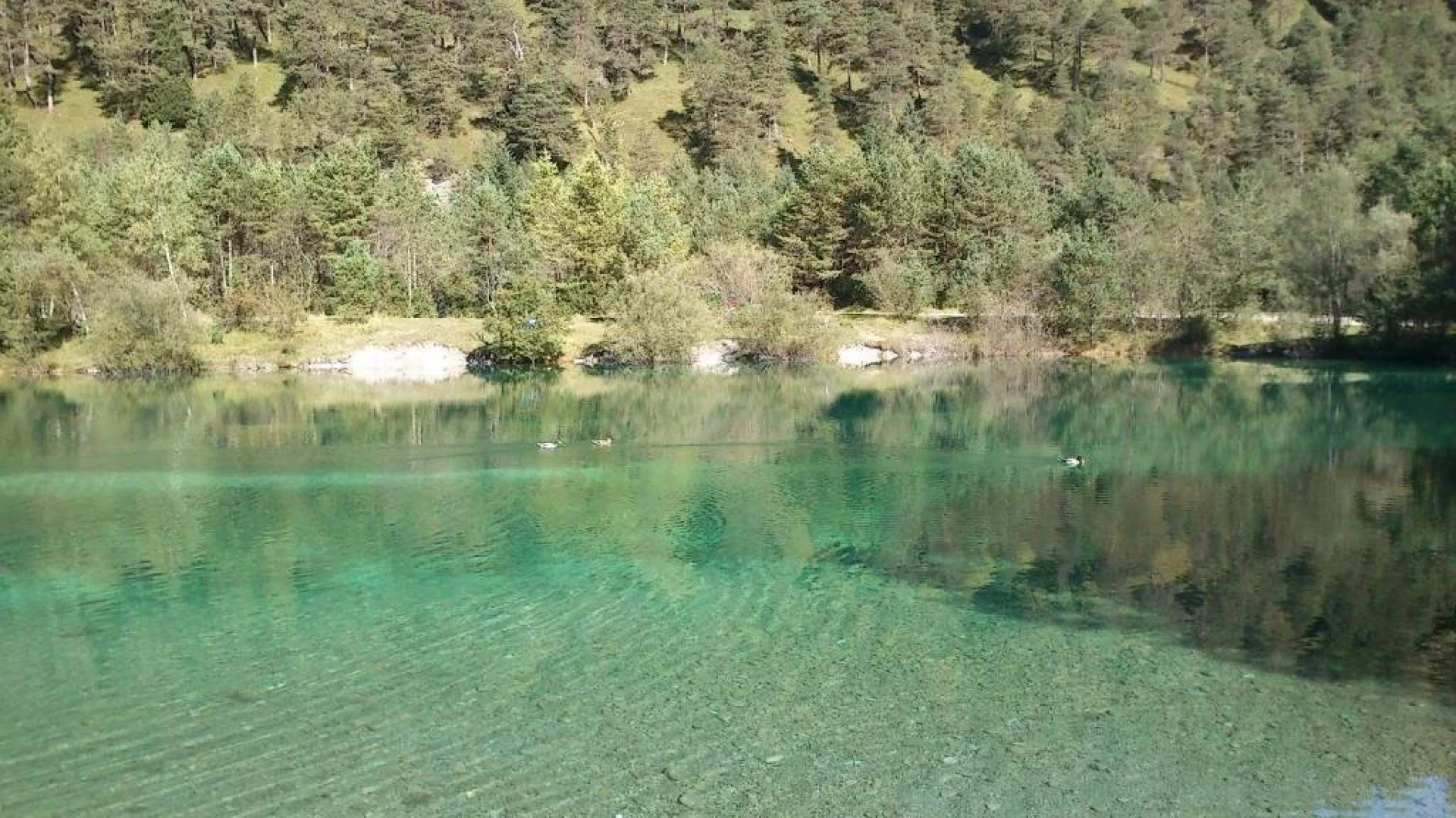 Gasthof Restaurant Helena