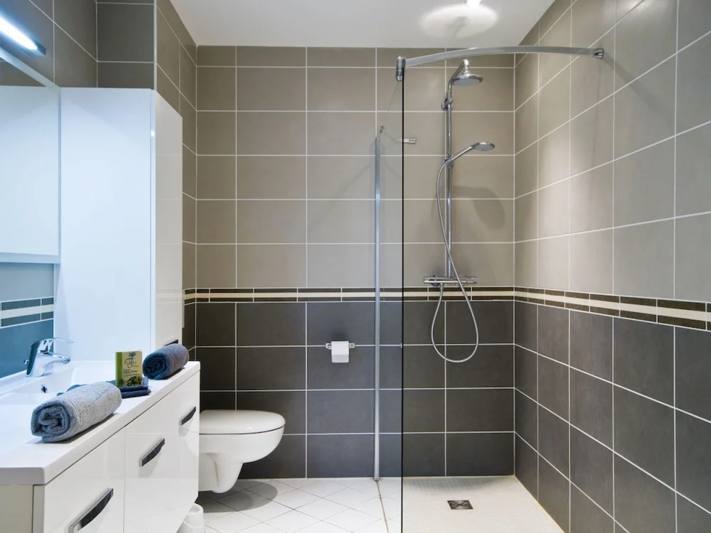 Luxurious Provencal Villa With AC, Near the Nice Vidauban