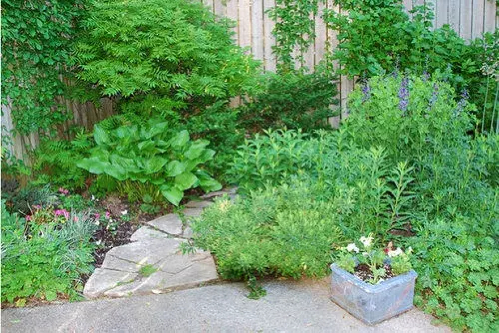 Queen and Albert B&B