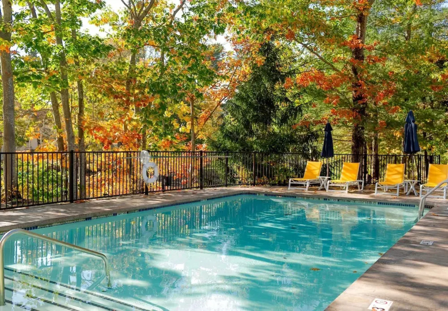 The Lodge at the Cove