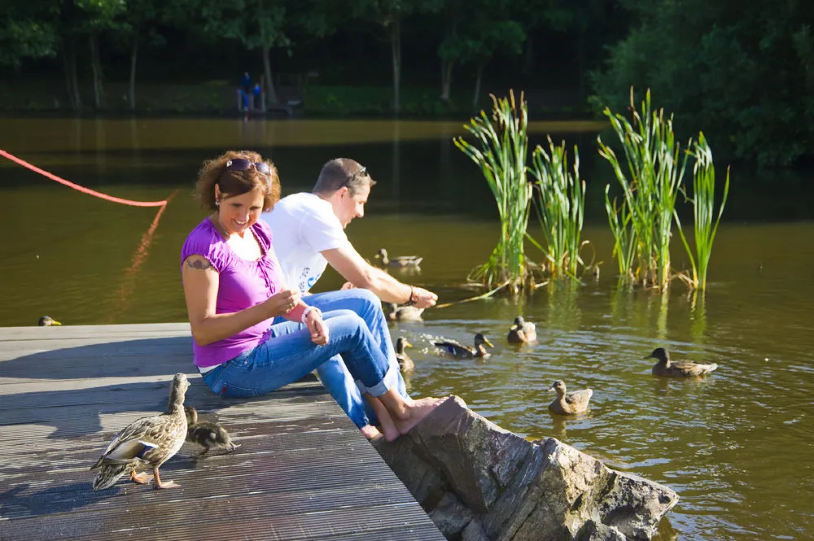 Ferienpark Hambachtal