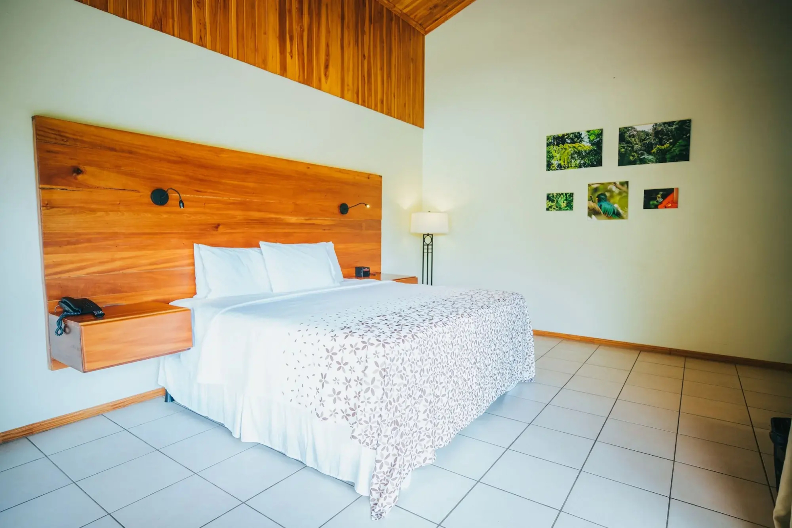 Ficus Sunset Suites