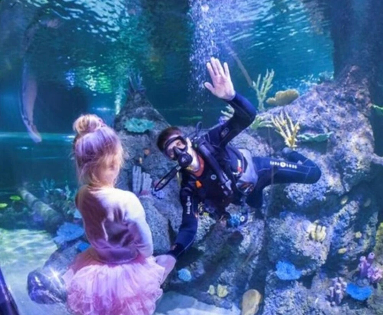 Captivating 3-bed Caravan at Golden Palm Skegness