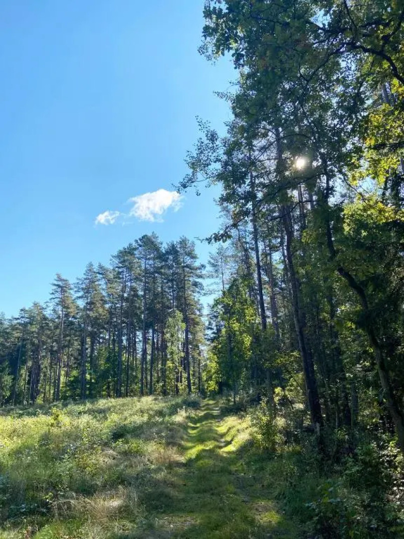 Apartament z balkonem blisko plaży