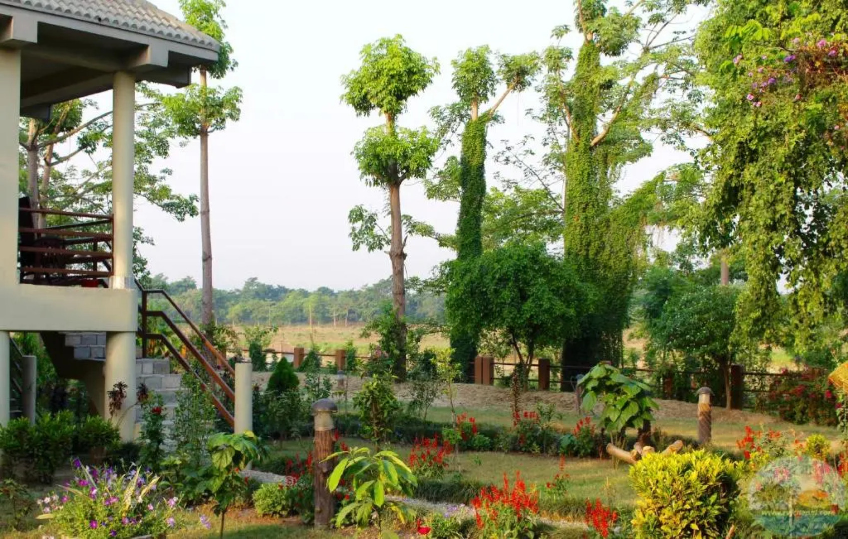 River View Jungle Camp