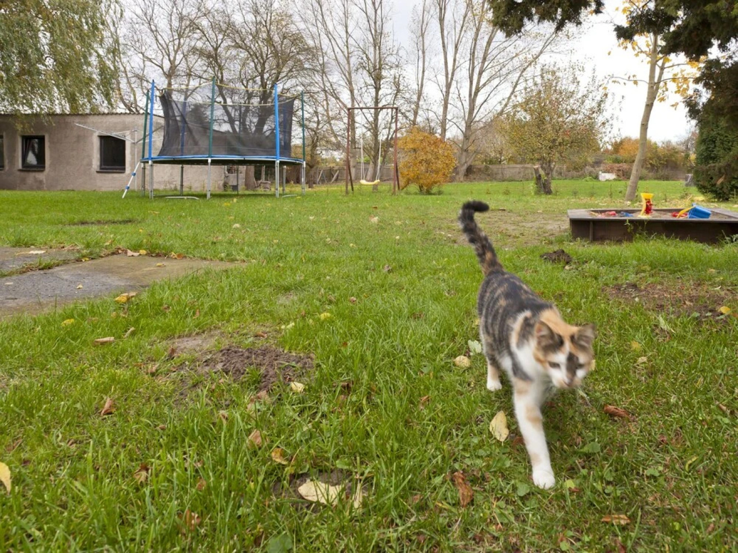 Amazing Holiday home in Am Salzhaff with Terrace