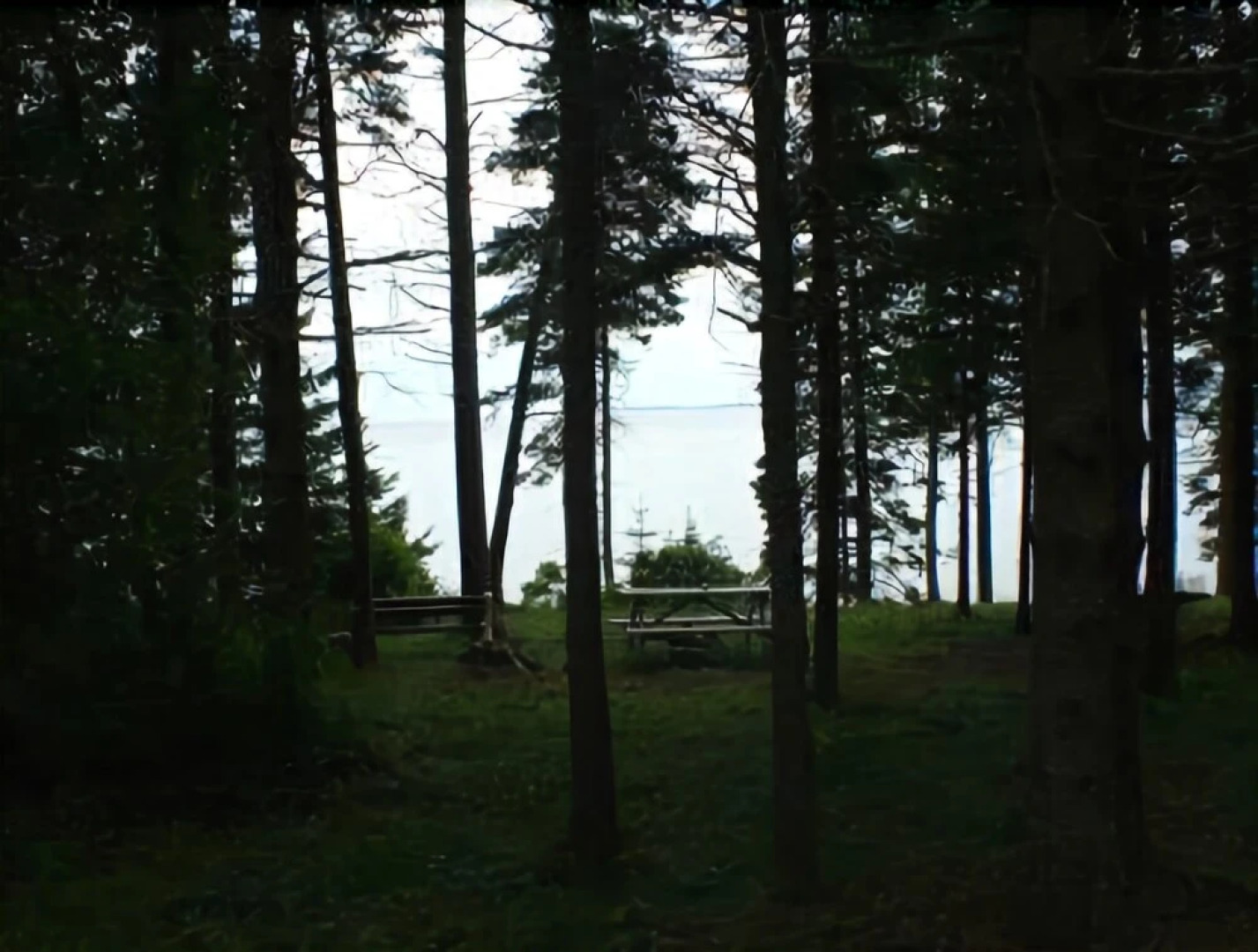 Green Leaf Cottage - Three Bedroom Home