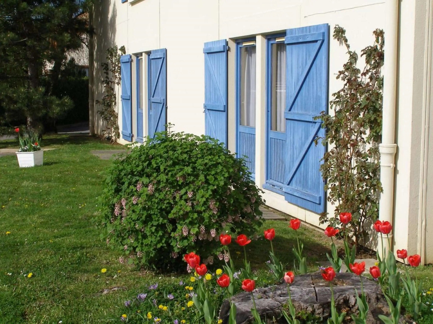 Sure Hotel by Best Western Plaisir