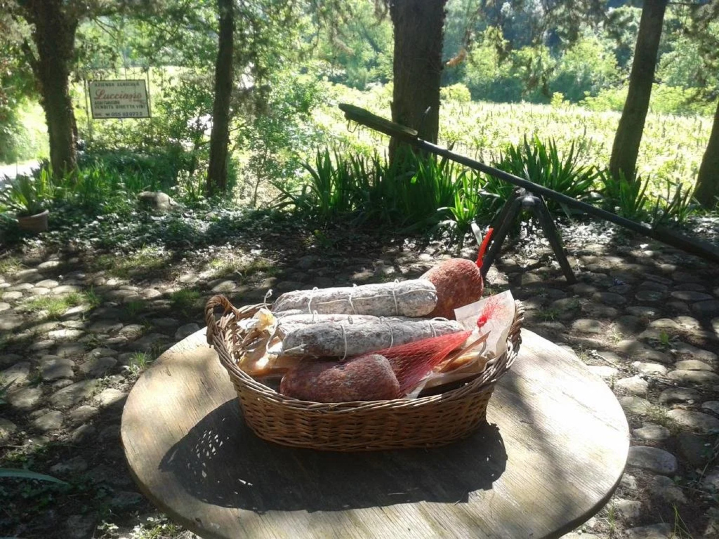 Agriturismo Lucciano